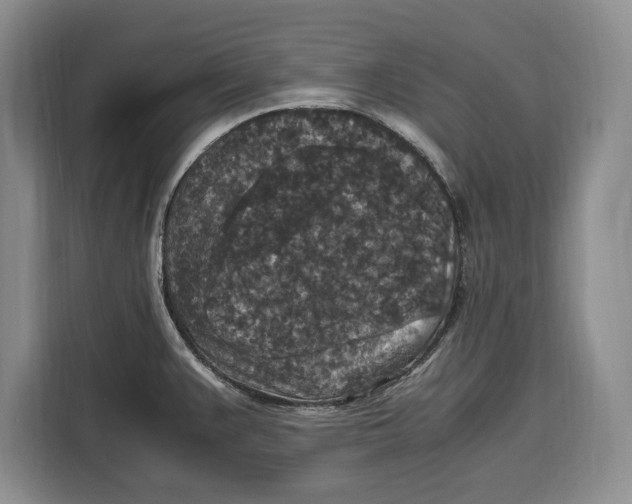 X0000115121383200911241338