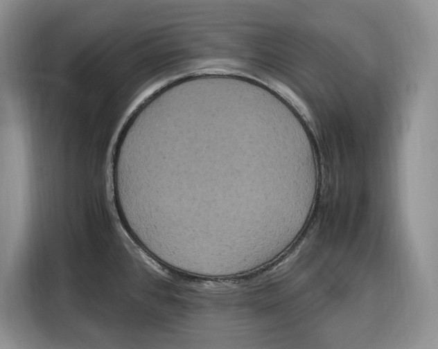 X0000115121384200911241338