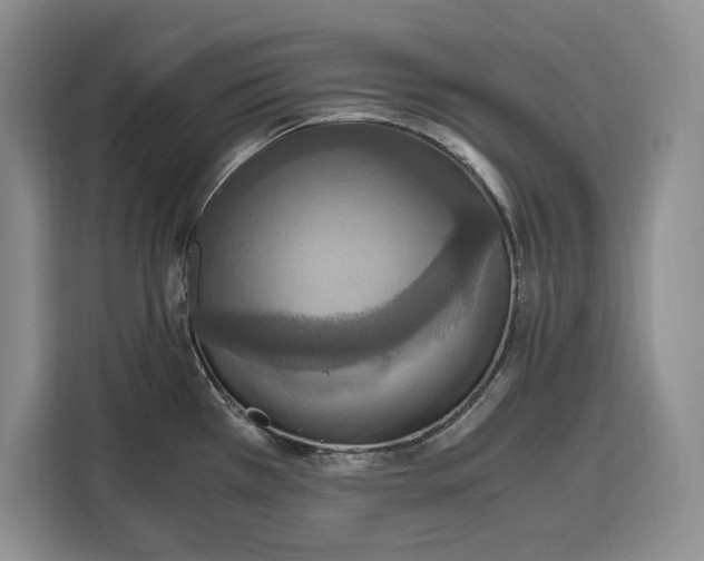 X0000115121385200911241338