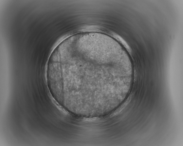 X0000115121386200911241338