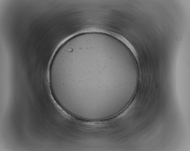 X0000115121388200911241338