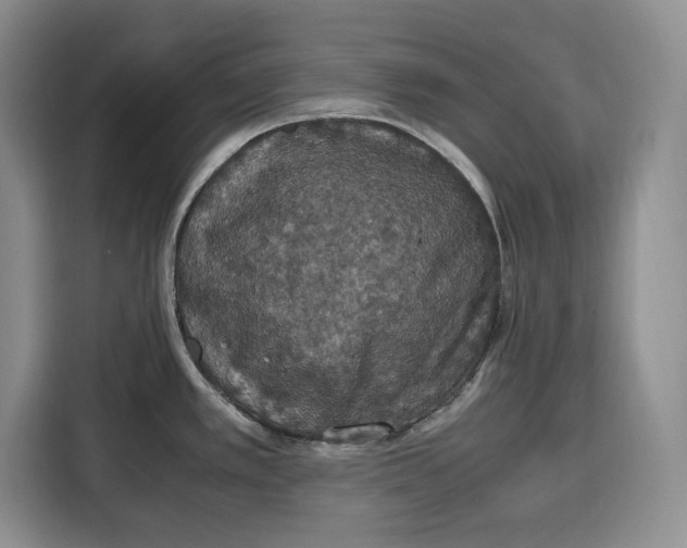X0000115121389200911241338