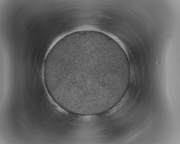 X0000115121390200911241338