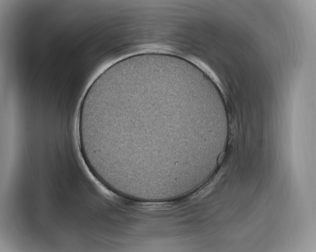 X0000115121391200911241338