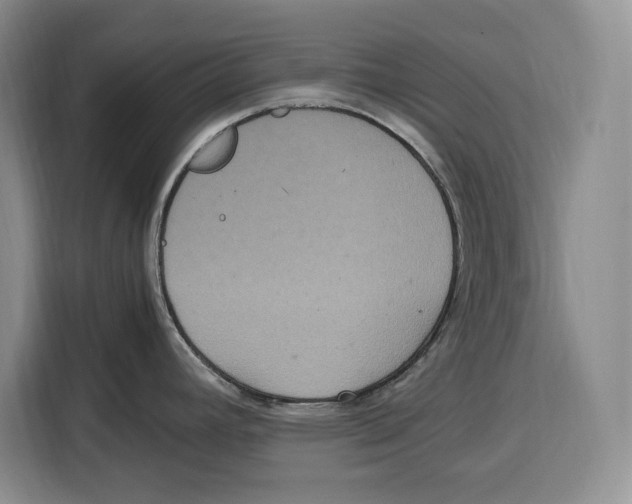 X0000115121392200911241338