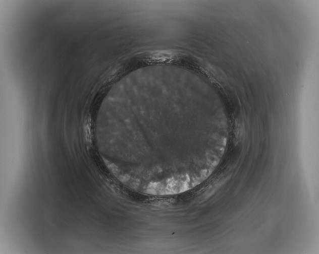 X0000115121394200911241338
