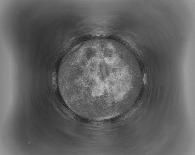 X0000115121396200911241338