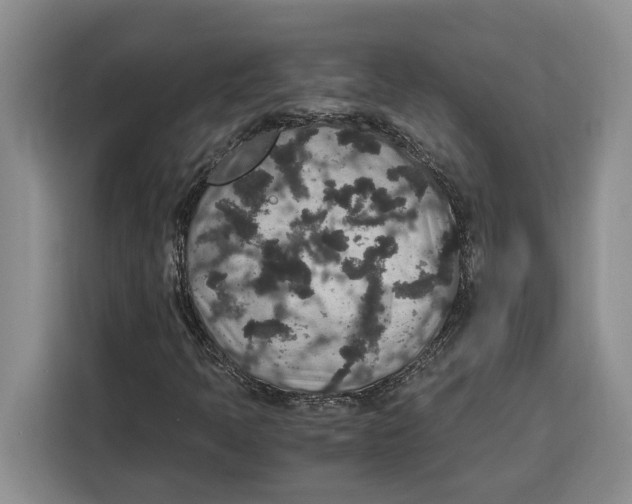 X0000115121397200911241338