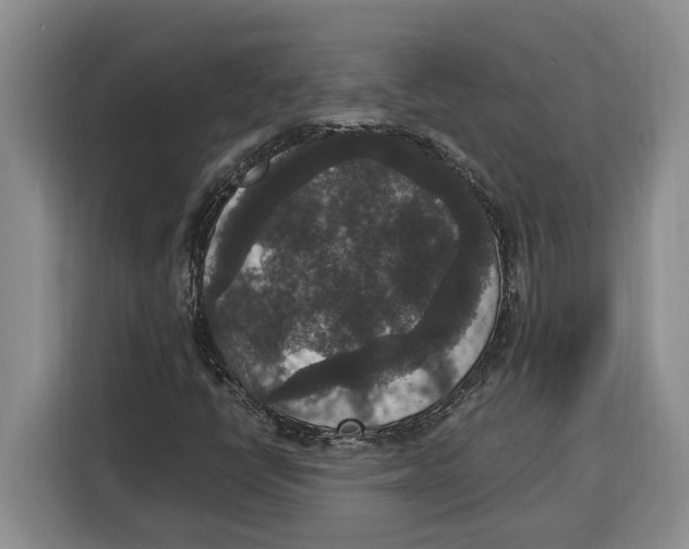 X0000115121398200911241338