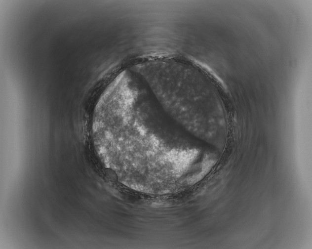 X0000115121399200911241338