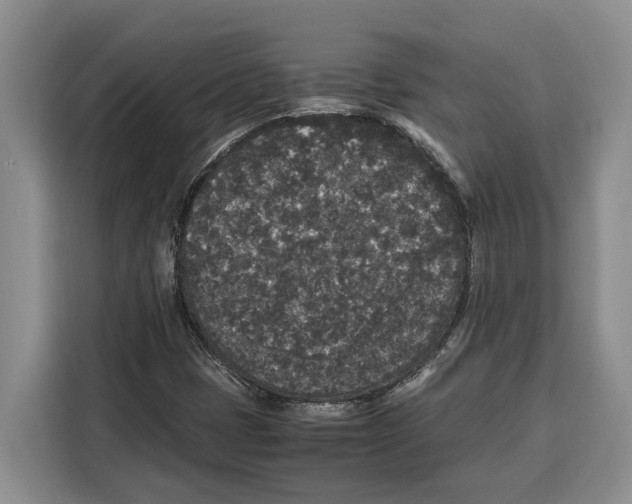 X0000115121401200911241338