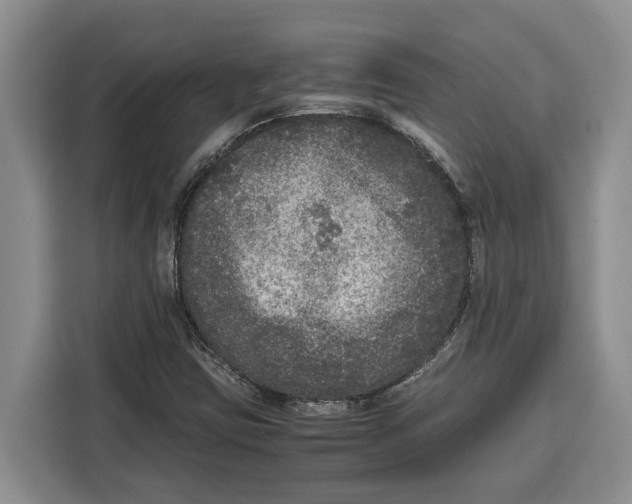 X0000115121403200911241338