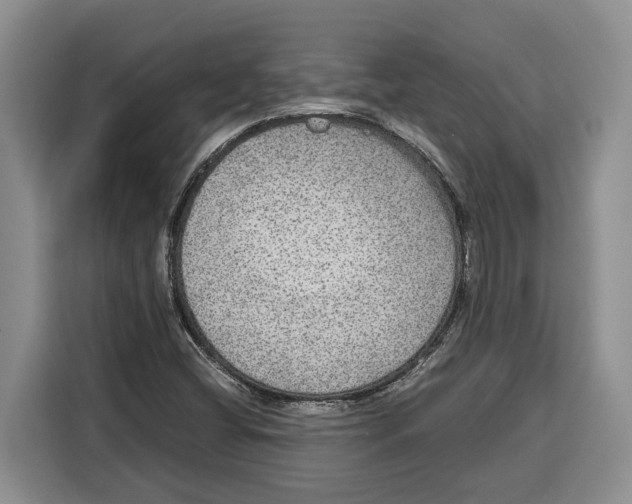 X0000115121404200911241338