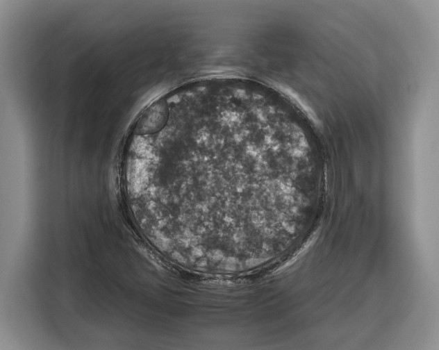 X0000115121405200911241338