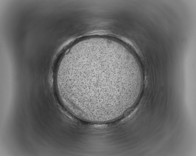 X0000115121406200911241338