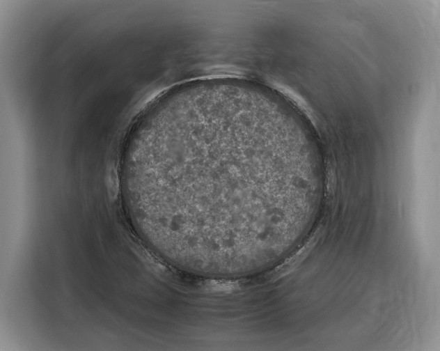X0000115121407200911241338