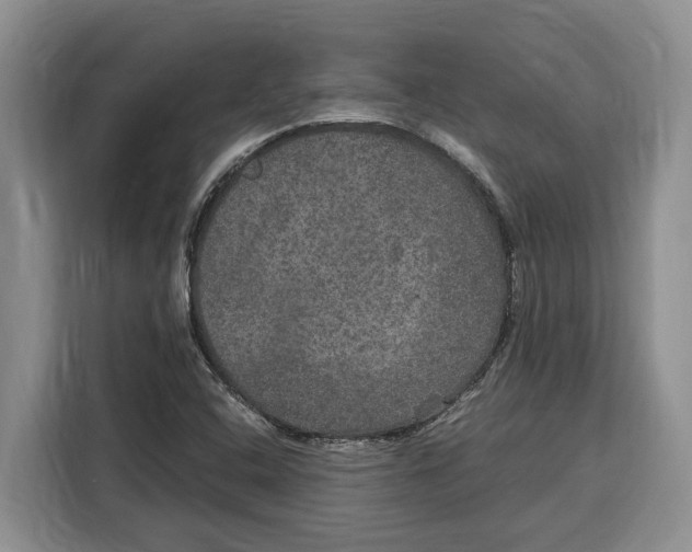 X0000115121408200911241338