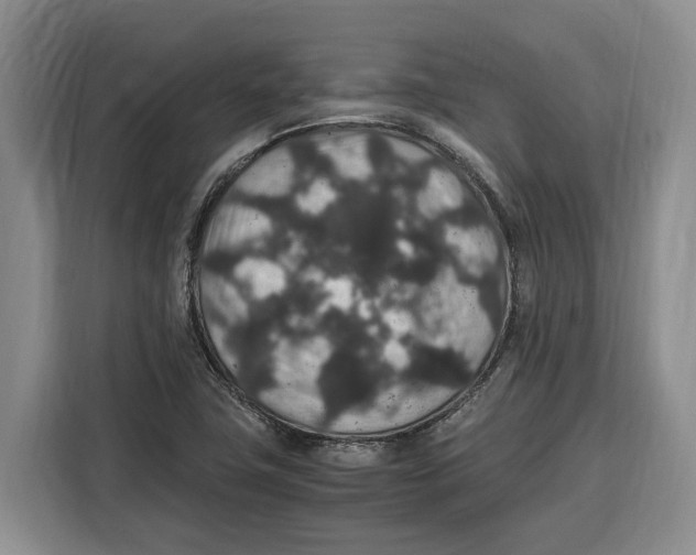 X0000115121411200911241338