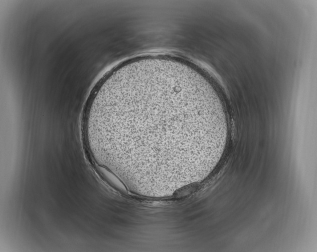 X0000115121412200911241338