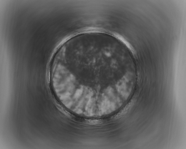X0000115121413200911241338