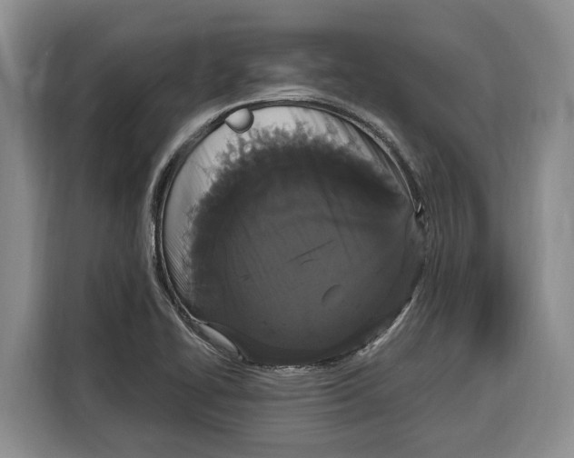 X0000115121414200911241338