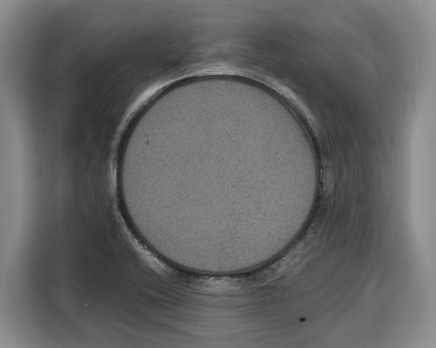 X0000115121416200911241338