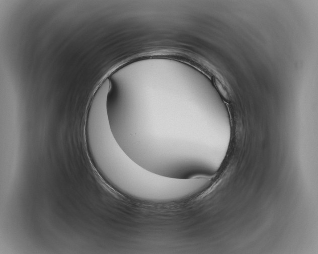 X0000115121417200911241338