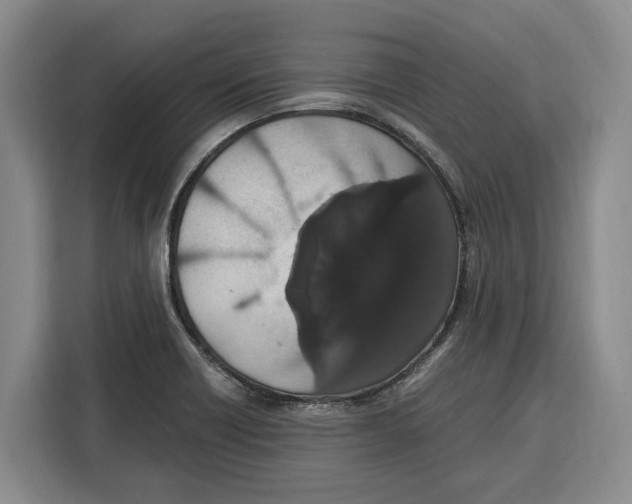 X0000115121418200911241338