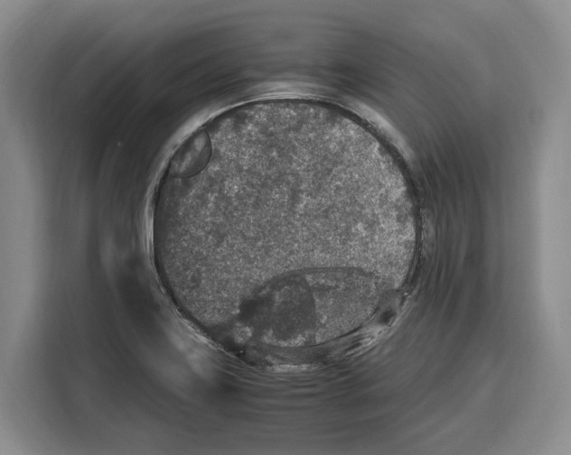 X0000115121419200911241338
