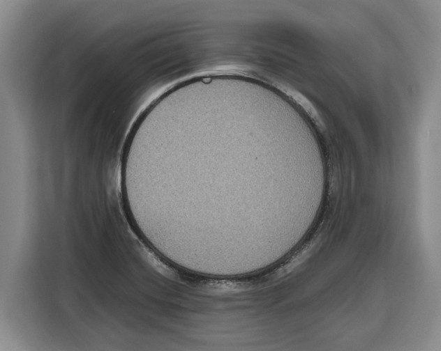 X0000115121420200911241338