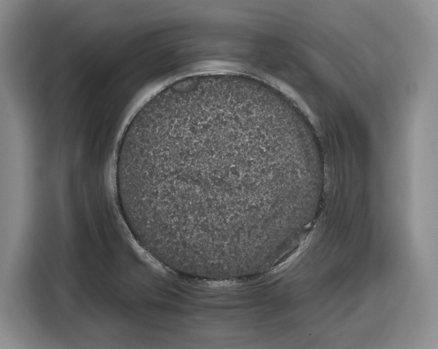 X0000115121421200911241338