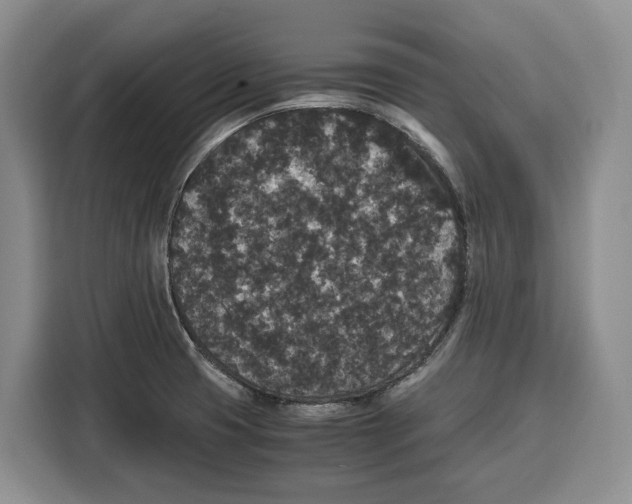 X0000115121425200911241338
