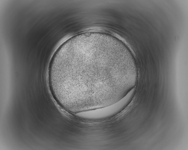 X0000115121426200911241338