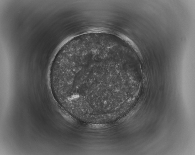 X0000115121427200911241338