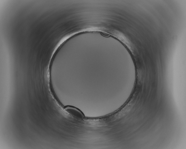 X0000115121428200911241338