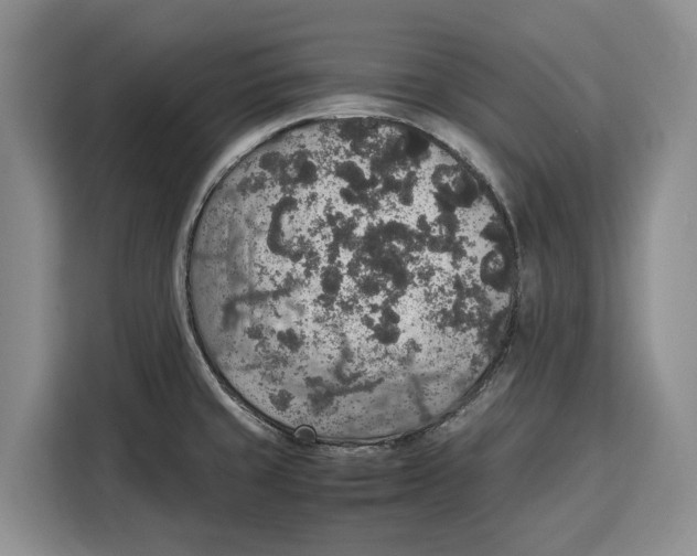 X0000115121429200911241338