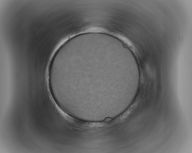 X0000115121430200911241338
