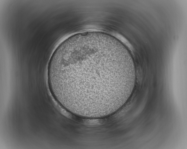 X0000115121431200911241338
