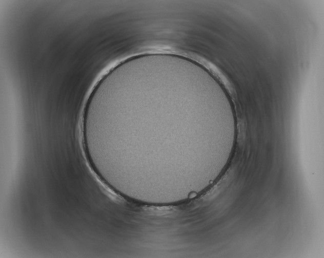 X0000115121432200911241338