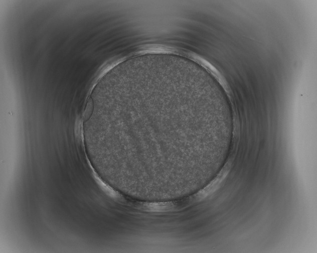 X0000115121433200911241338