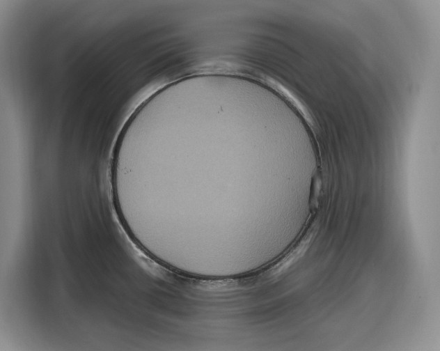 X0000115121434200911241338