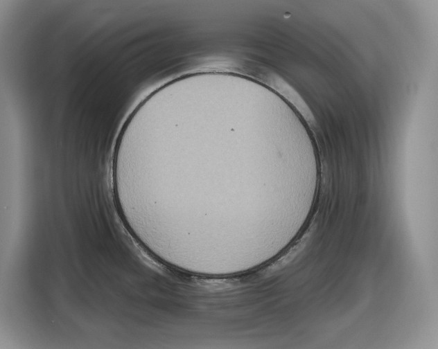 X0000115121436200911241338