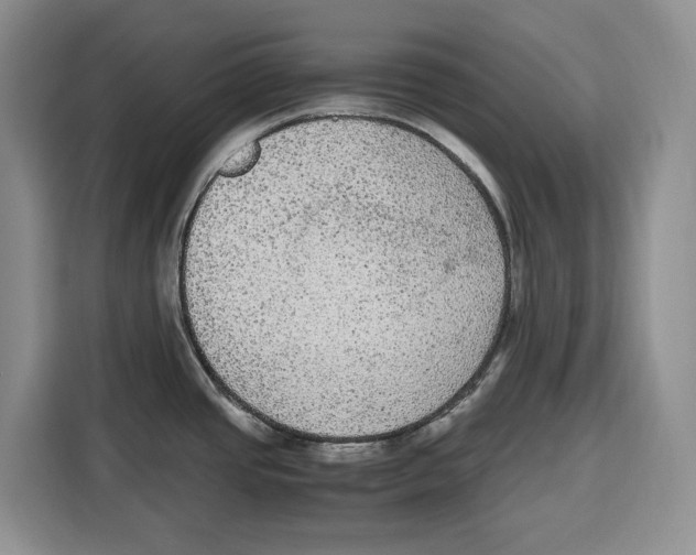X0000115121437200911241338