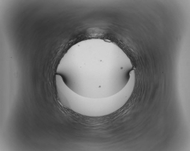 X0000115121441200911241338