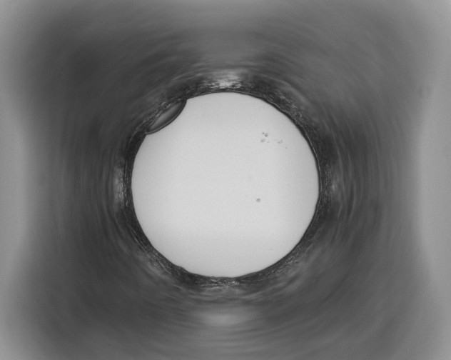 X0000115121442200911241338