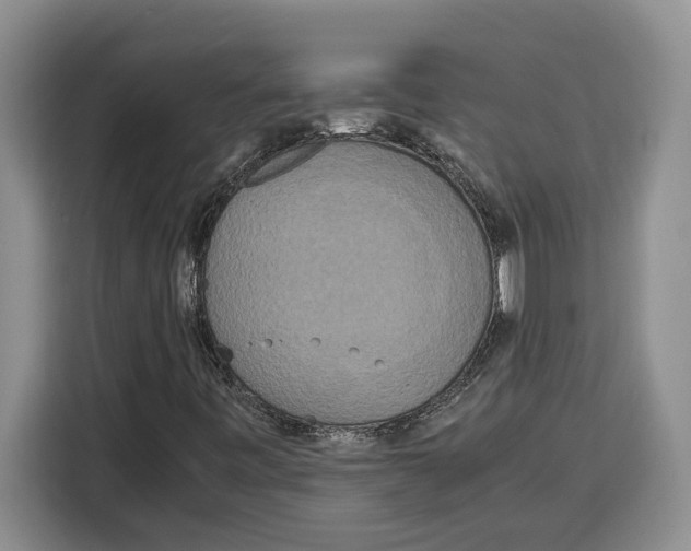X0000115121443200911241338