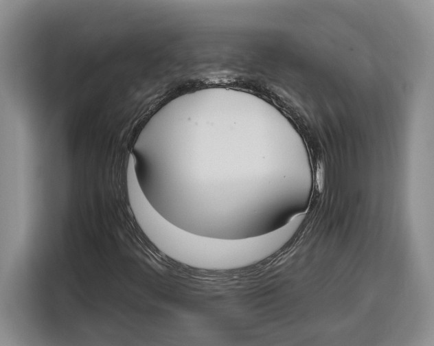 X0000115121444200911241338