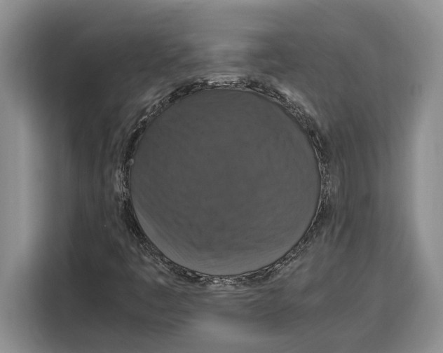 X0000115121445200911241338