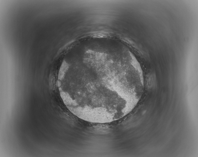 X0000115121446200911241338