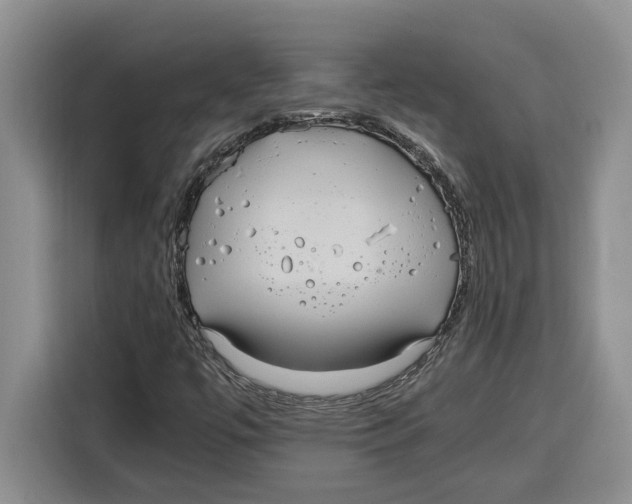 X0000115121447200911241338